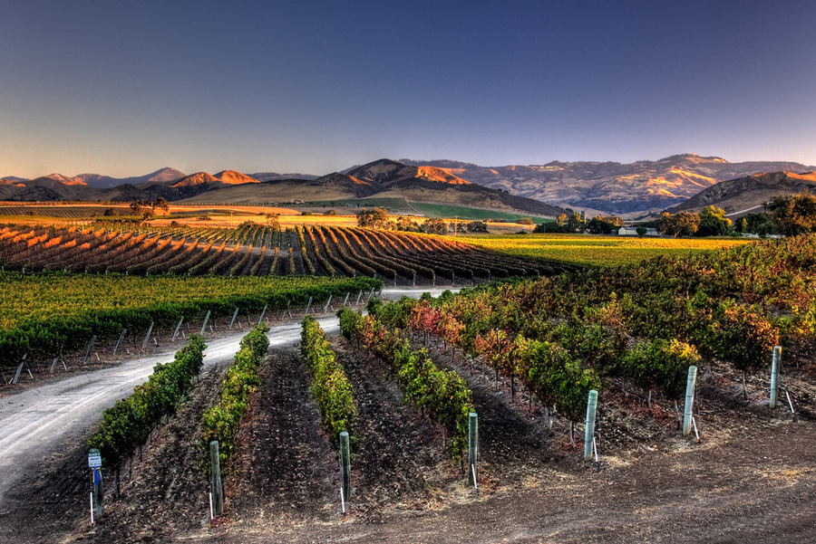 Santa Barbara Wine Tasting Kazzit US Wineries & International Winery