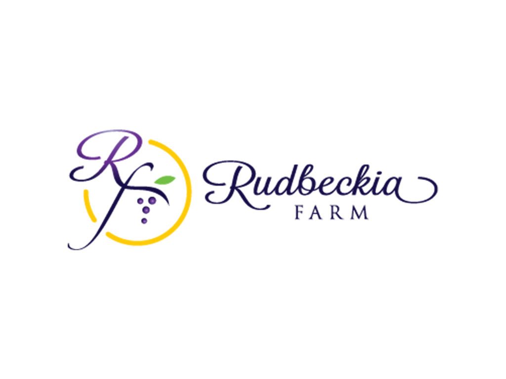 Rudbeckia Farm